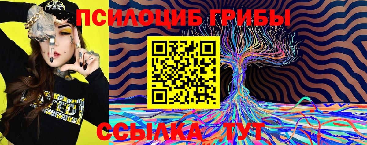 Галлюциногенные грибы GOLDEN TEACHER  Вход с VPN  Вятские Поляны  Галлюциногенные грибы Psilocybe 